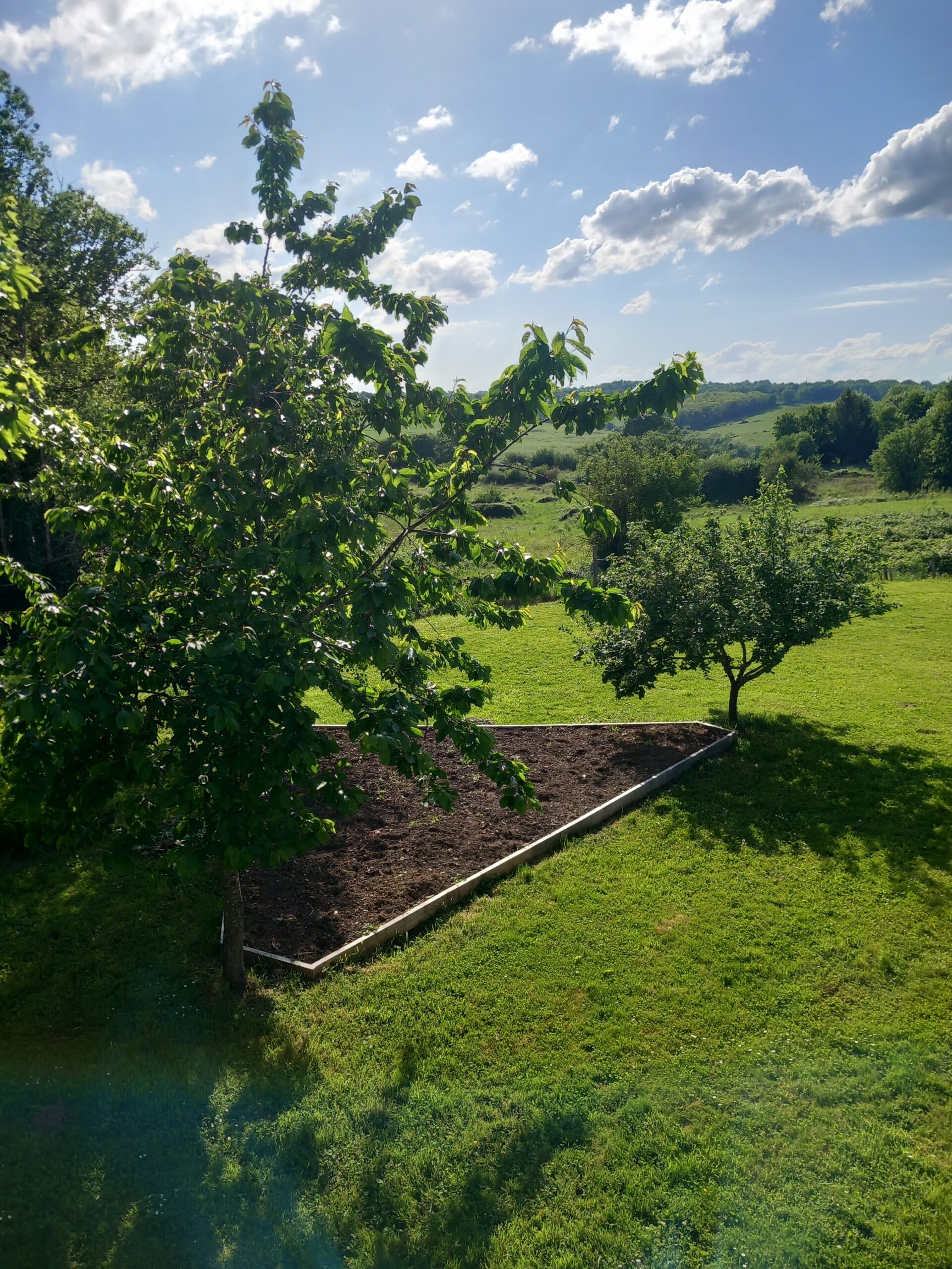 20250503 175106 Scaled