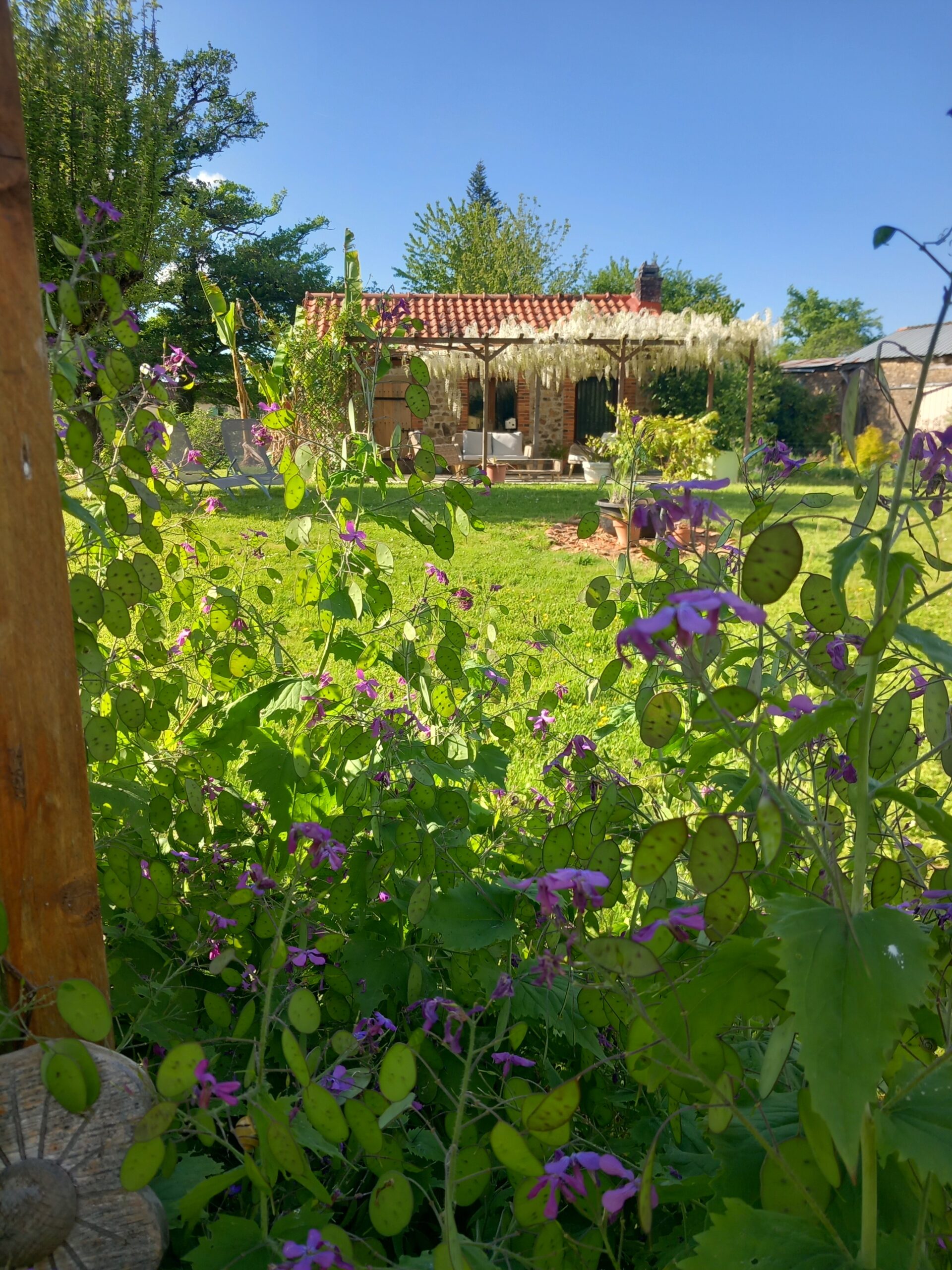 20250503 175256 Scaled