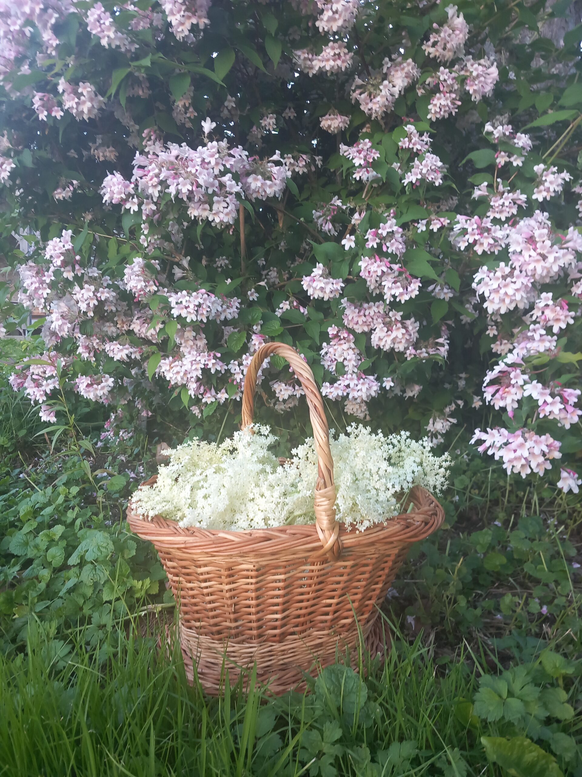 20250512 204654 Scaled