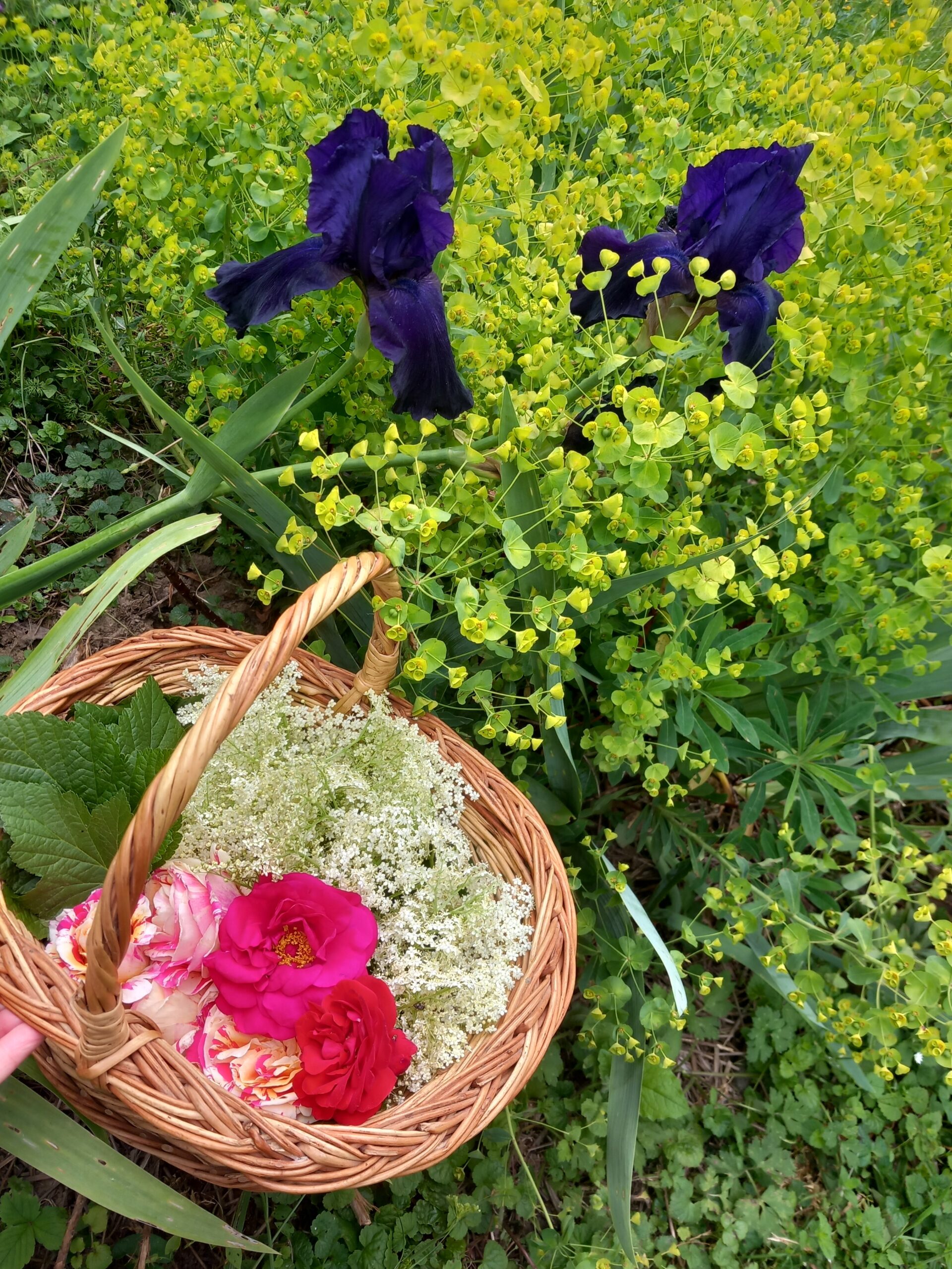 20250521 141123 Scaled