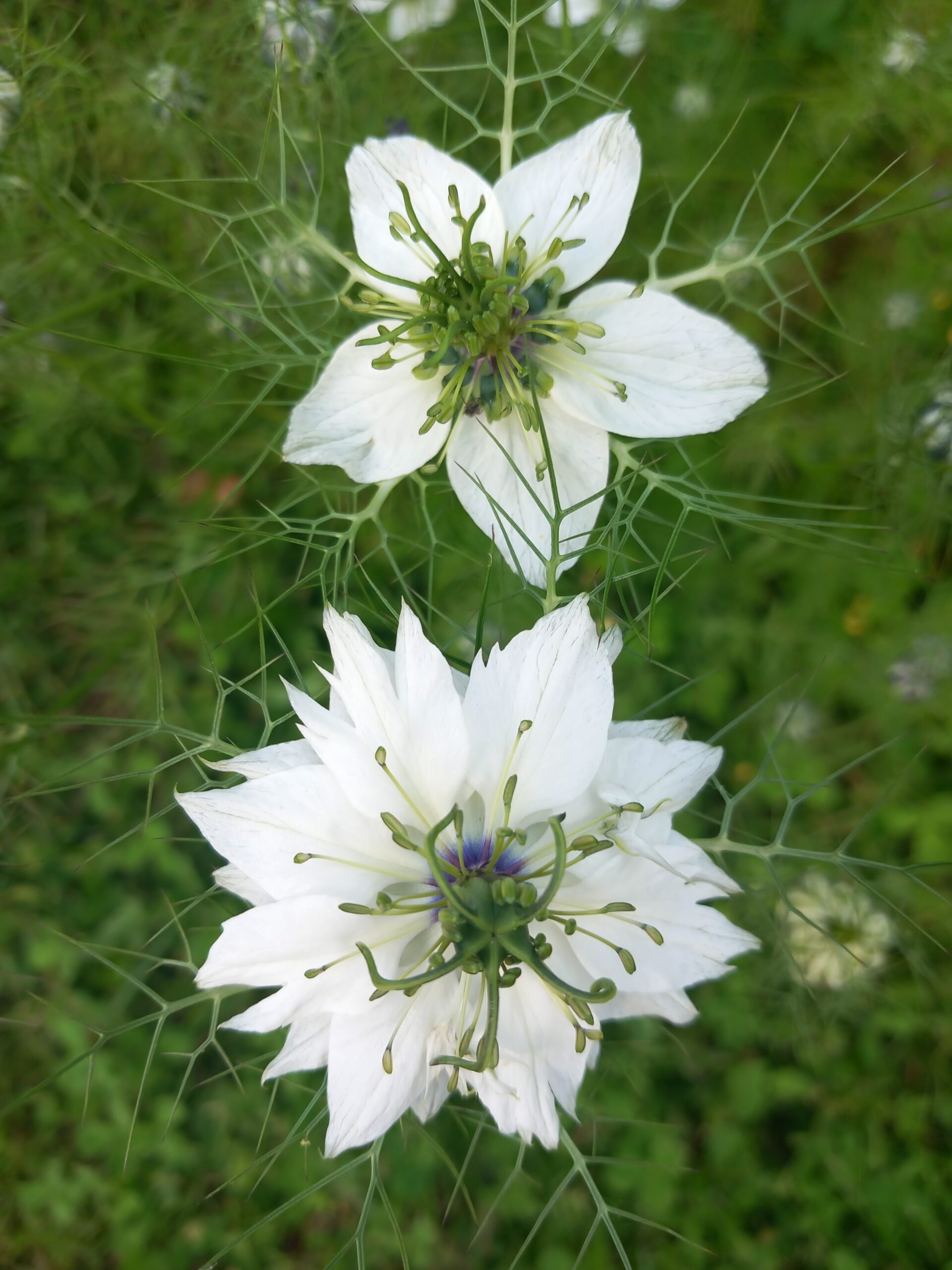 20250524 193918 Scaled