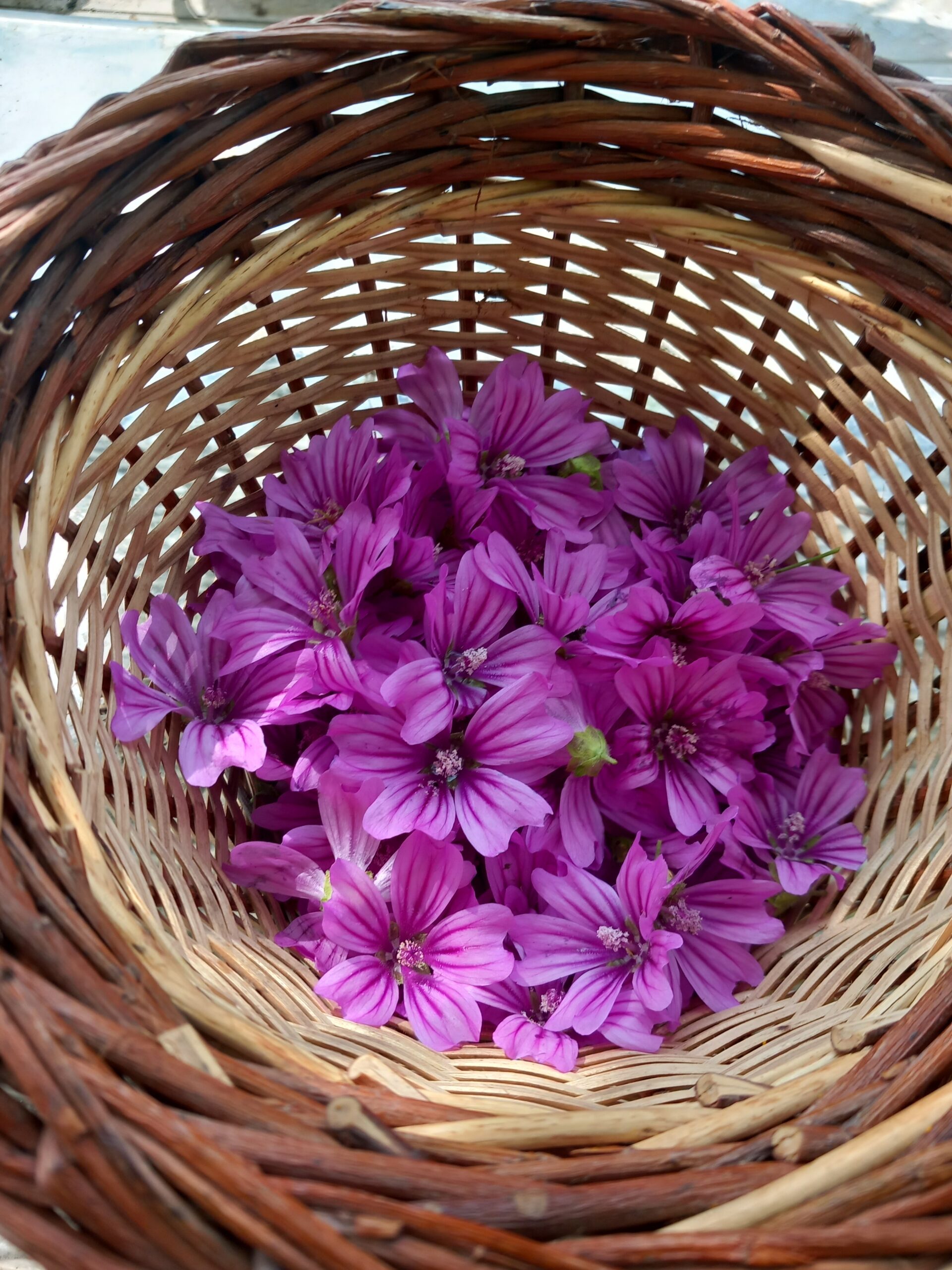 20250608 111259 Scaled