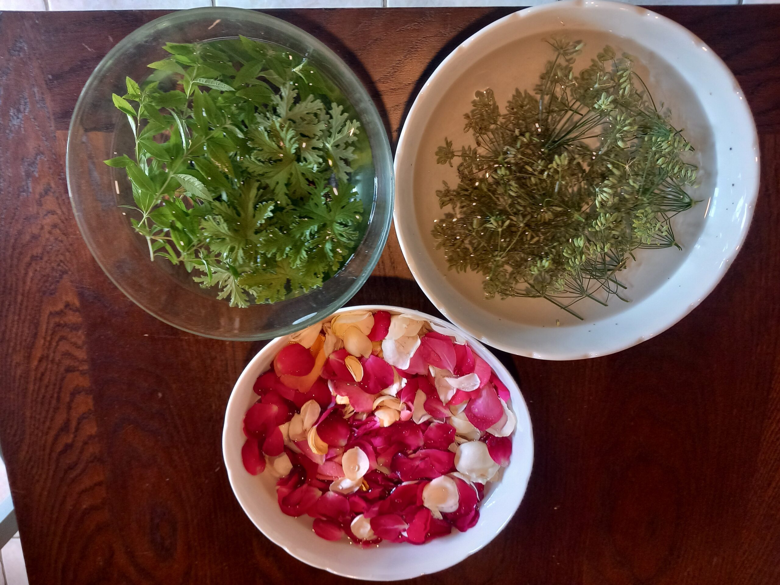 20250905 162229 Scaled