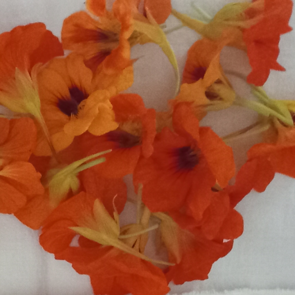 InCollage 20241016 160009113